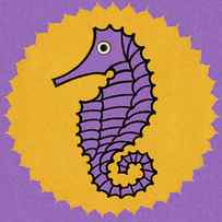 Seahorse by CSA Images