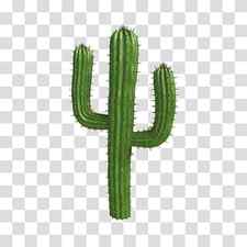 Golden, Golden Barrel Cactus, Saguaro Cactus, Echinocactus, Plant, Hedgehog Cactus, Plant Stem, Flowerpot transparent background PNG clipart thumbnail