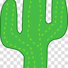 Cactus, Saguaro, Drawing, Golden Barrel Cactus, Echinocereus, Succulent Plant, Green, Yellow transparent background PNG clipart thumbnail