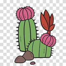 Watercolor Flower, Cactus, Succulent Plant, Leaf, Watercolor Painting, Plants, Drawing, Golden Barrel Cactus transparent background PNG clipart thumbnail