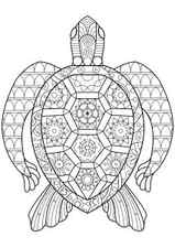 Turtle with geometric shapes