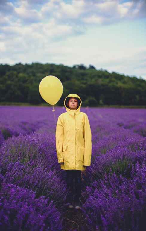 Violet and Yellow Juxtaposition