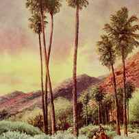 Palm Canyon, California from On Sunset Highways 1921 by Henry Bagg