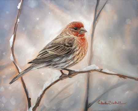 bird painting, wildlife painting, painting animals