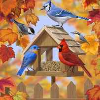 Bird Painting - Autumn Aquaintances by Crista Forest