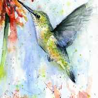 Hummingbird and Red Flower Watercolor by Olga Shvartsur