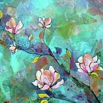 Magnolias by Shadia Derbyshire