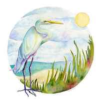 Beach Heron by Amy Kirkpatrick