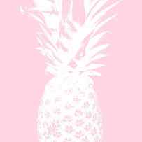 Pink and White Pineapple by Linda Woods