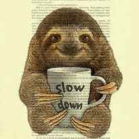 Cute baby sloth with coffee mug Slow down quote by Madame Memento