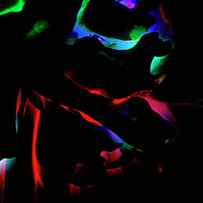 Neon Glow In The Dark 06 by Eva Bane