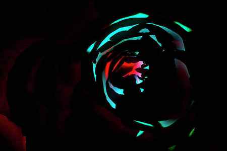 Wall Art - Photograph - Neon Glow In The Dark 01 by Eva Bane