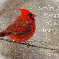 Holiday Magic Cardinal Card by Lois Bryan