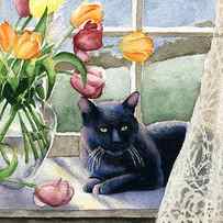 Black Cat In The Window by David Rogers