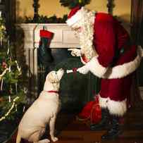 Santa Giving the Dog a Gift by Diane Diederich