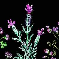 Clover Lavender And Sweet Pea Wildflowers by Irina Sztukowski