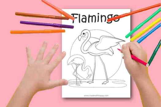 Flamingo Coloring Page