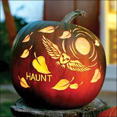 owl pumpkin carving