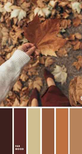 Autumn New York Palette