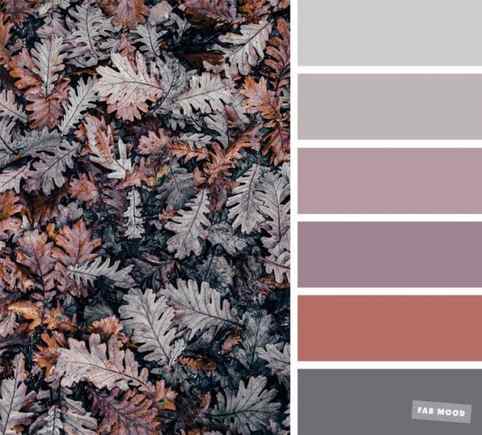 soft fall color palette