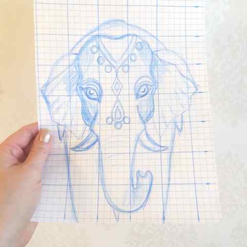 elephant sketch