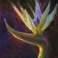 White Bird of Paradise -Tropical Flower Painting by K Whitworth
