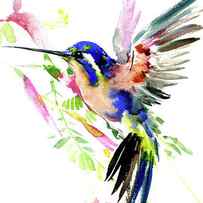 Hummingbird and Flowers by Suren Nersisyan