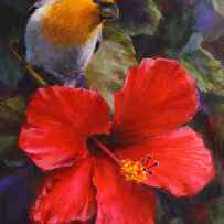 Palila and Hibiscus - Hawaiian Painting by K Whitworth