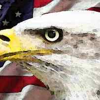 Bald Eagle Art - Old Glory - American Flag by Sharon Cummings