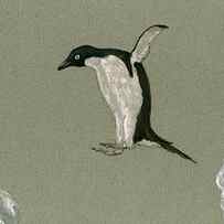Penguin jumping by Juan Bosco