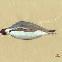 Swimming Penguin painting by Juan Bosco