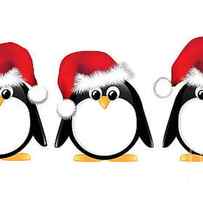 Christmas penguins isolated by Jane Rix