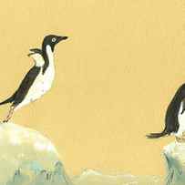 Jumping penguins by Juan Bosco