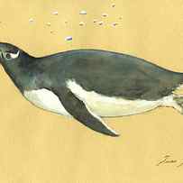 Swimming penguin by Juan Bosco