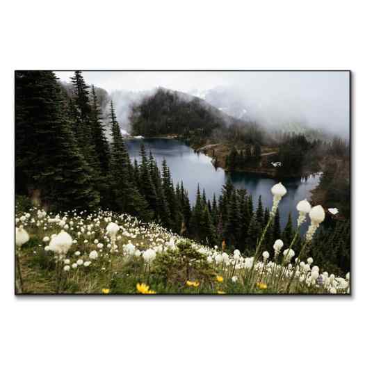 Wildflower Overlook