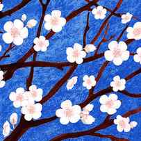 Apple Blossoms by Irina Sztukowski