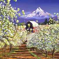 APPLEBLOSSOMS MOUNT HOOD by David Lloyd Glover