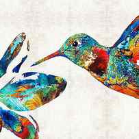 Colorful Hummingbird Art by Sharon Cummings by Sharon Cummings