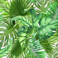 green tropical plant by Mark Ashkenazi