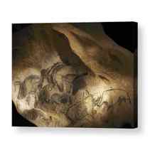 Stone-age Cave Paintings, Chauvet, France Acrylic Print by Javier Truebamsf