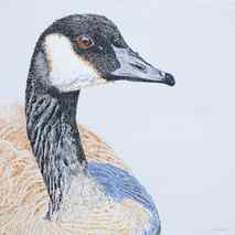 Original art for sale at UGallery.com | Canada Goose #1 by Emil Morhardt | 9.731 zł | acrylic painting | 36