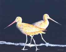 Original art for sale at UGallery.com | Two Godwits at Night by Emil Morhardt | 7.510 zł | acrylic painting | 24