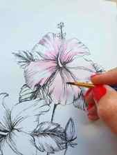 a hand painting washes of pink watercolor onto the petals of a hibiscus flower drawing