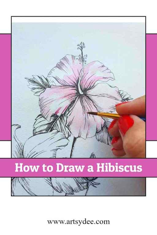 Hibiscus Flower Drawing