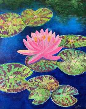 Pink water lily thumb
