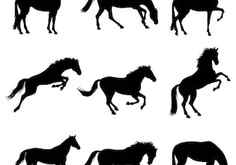 Horse silhouettes