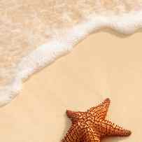 Starfish and ocean wave by Elena Elisseeva