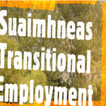 Transitional Employment