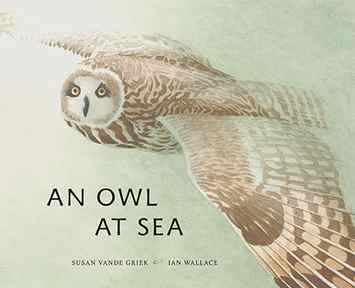  A brown owl flies through mist. Its eyes are yellow. Its feathers are spotted and striped with different shades of brown. Text: An Owl at Sea. Susan Vande Griek. Ian Wallace. 