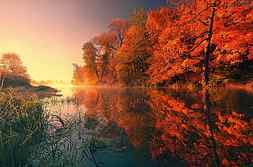 Trees Fall Reflection Autumn , autumn, nature, trees, reflection, HD wallpaper